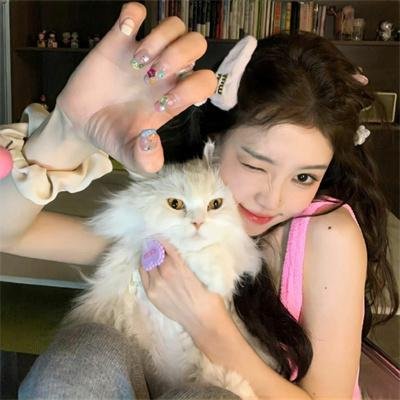 衣柜里的猫